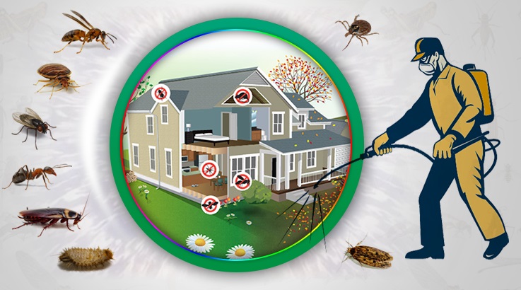 Şenkaya Böcek İlaçlama