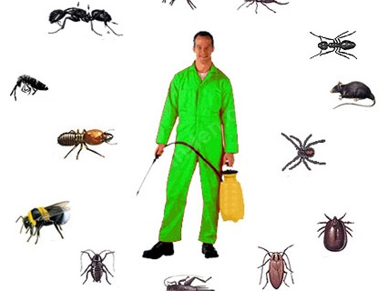 Şenkaya Böcek İlaçlama